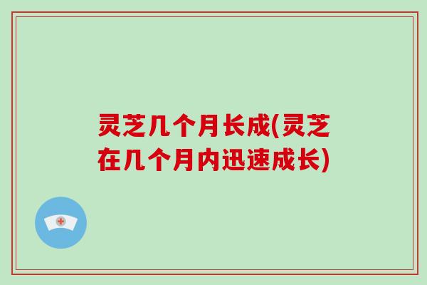 灵芝几个月长成(灵芝在几个月内迅速成长) 灵芝几个月长成(灵芝在几个月内迅速成长)