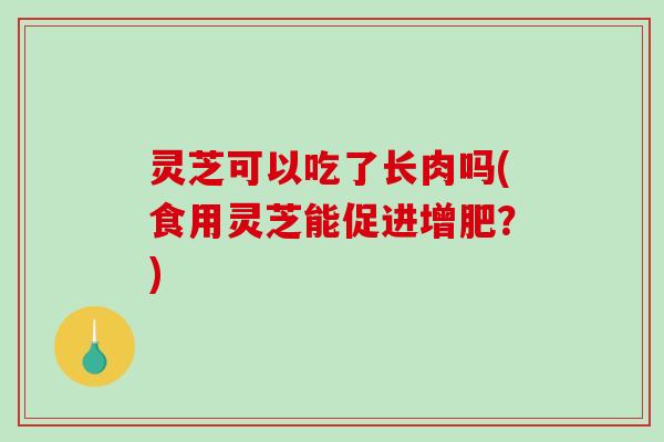 灵芝可以吃了长肉吗(食用灵芝能促进增肥?) 灵芝可以吃了长肉吗(食用灵芝能促进增肥?)