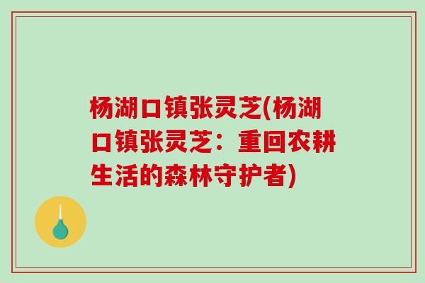杨湖口镇张灵芝(杨湖口镇张灵芝：重回农耕生活的森林守护者)