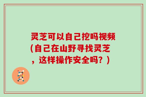 灵芝可以自己挖吗视频(自己在山野寻找灵芝,这样操作安全吗?) 灵芝可以自己挖吗视频(自己在山野寻找灵芝,这样操作安全吗?)