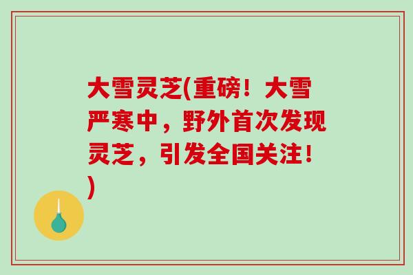大雪灵芝(重磅!大雪严寒中,野外首次发现灵芝,引发全国关注!) 大雪灵芝(重磅!大雪严寒中,野外首次发现灵芝,引发全国关注!)