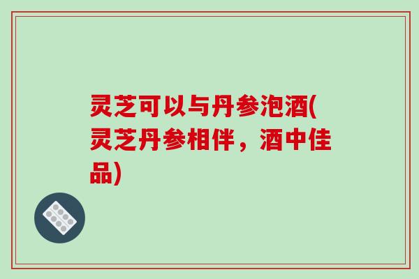 灵芝可以与丹参泡酒(灵芝丹参相伴,酒中佳品) 灵芝可以与丹参泡酒(灵芝丹参相伴,酒中佳品)