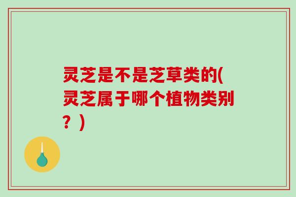 灵芝是不是芝草类的(灵芝属于哪个植物类别？)