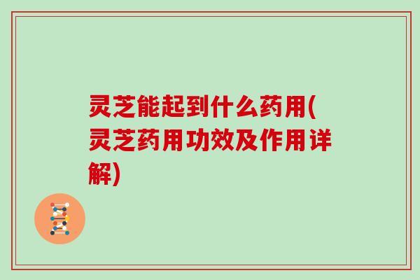 灵芝能起到什么药用(灵芝药用功效及作用详解)