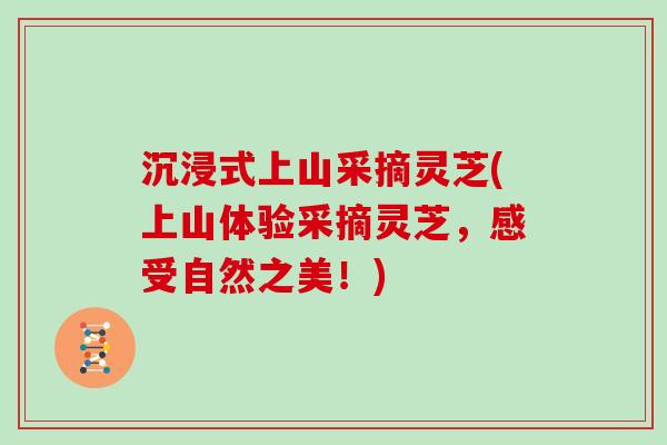 沉浸式上山采摘灵芝(上山体验采摘灵芝，感受自然之美！)