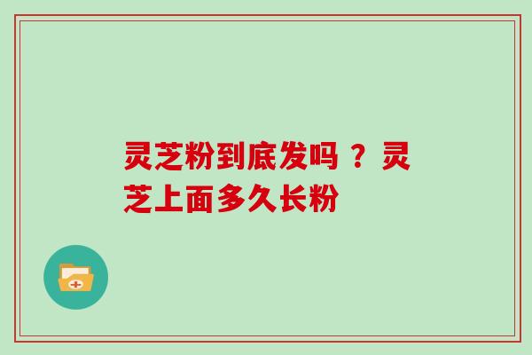 灵芝粉到底发吗 ?灵芝上面多久长粉 灵芝粉到底发吗 ?灵芝上面多久长粉