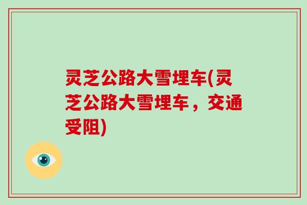 灵芝公路大雪埋车(灵芝公路大雪埋车，交通受阻)