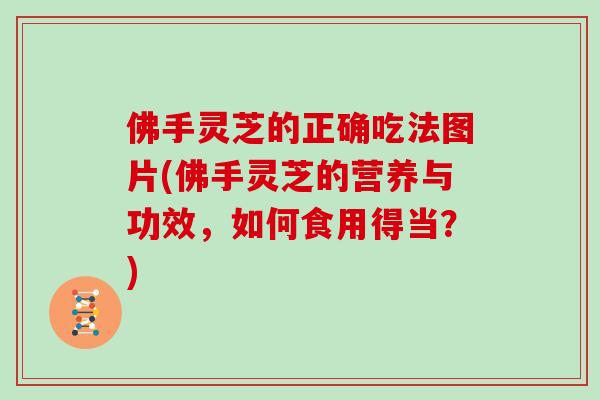 佛手灵芝的正确吃法图片(佛手灵芝的营养与功效,如何食用得当?) 佛手灵芝的正确吃法图片(佛手灵芝的营养与功效,如何食用得当?)