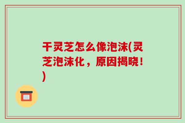干灵芝怎么像泡沫(灵芝泡沫化，原因揭晓！)