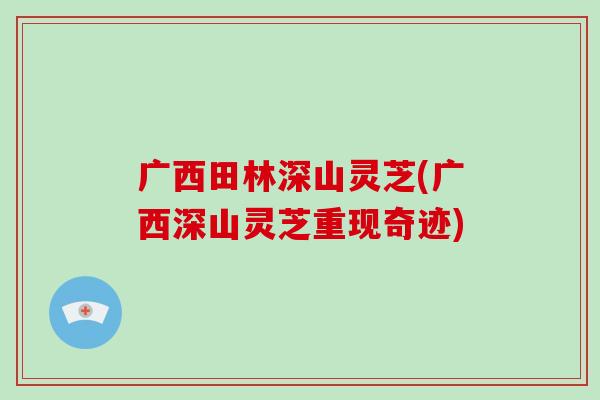 广西田林深山灵芝(广西深山灵芝重现奇迹) 广西田林深山灵芝(广西深山灵芝重现奇迹)