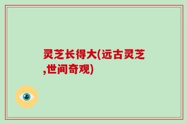 灵芝长得大(远古灵芝,世间奇观)