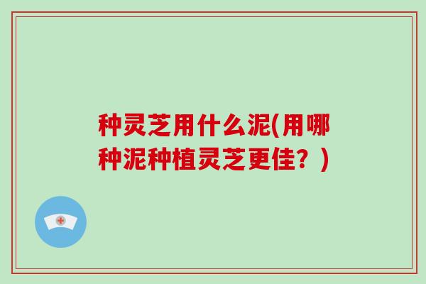 种灵芝用什么泥(用哪种泥种植灵芝更佳？)