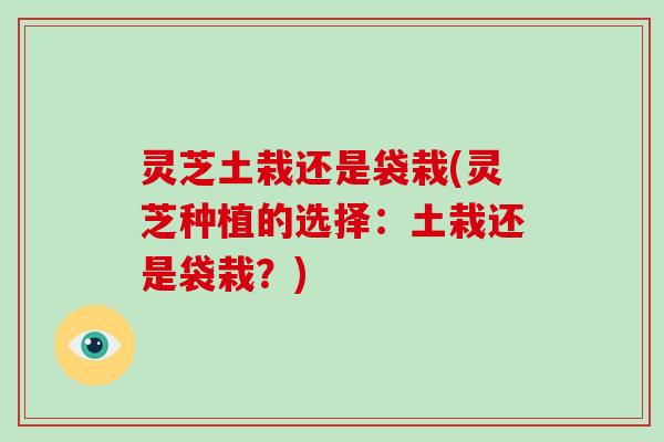 灵芝土栽还是袋栽(灵芝种植的选择：土栽还是袋栽？)