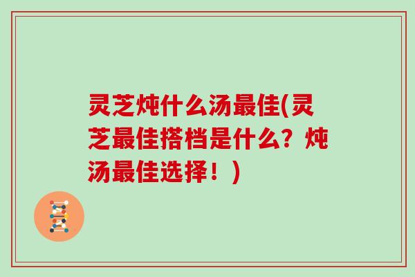 灵芝炖什么汤佳(灵芝佳搭档是什么？炖汤佳选择！)