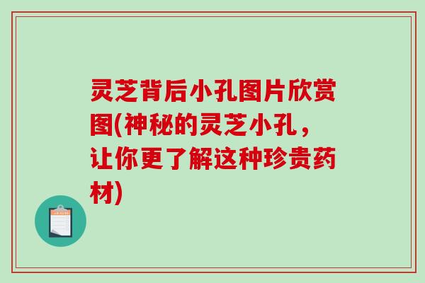 灵芝背后小孔图片欣赏图(神秘的灵芝小孔，让你更了解这种珍贵药材)