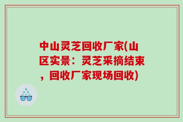 中山灵芝回收厂家(山区实景：灵芝采摘结束，回收厂家现场回收)