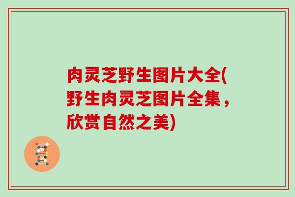 肉灵芝野生图片大全(野生肉灵芝图片全集，欣赏自然之美)