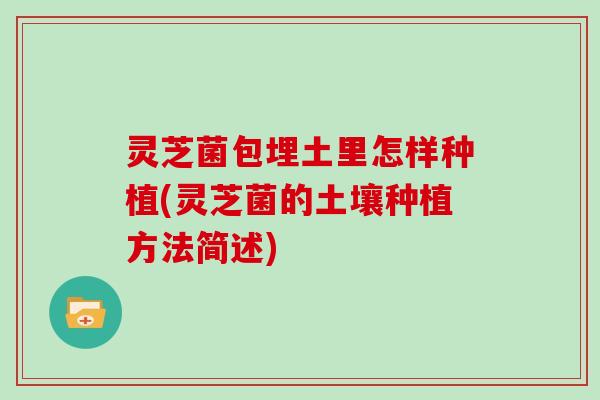 灵芝菌包埋土里怎样种植(灵芝菌的土壤种植方法简述)
