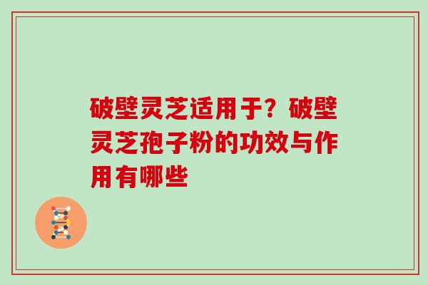 破壁灵芝适用于？破壁灵芝孢子粉的功效与作用有哪些