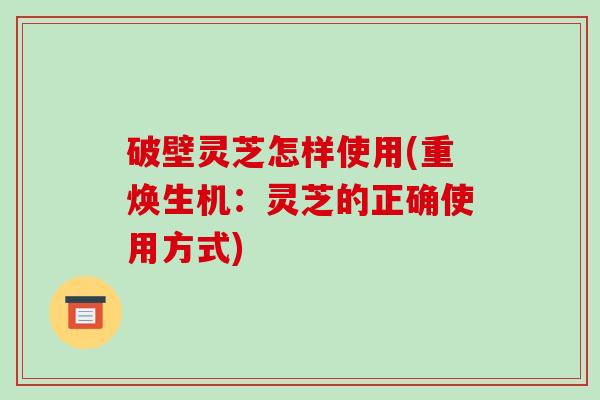 破壁灵芝怎样使用(重焕生机：灵芝的正确使用方式)