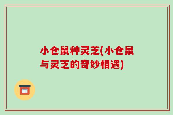 小仓鼠种灵芝(小仓鼠与灵芝的奇妙相遇)