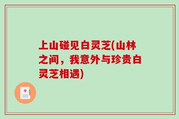 上山碰见白灵芝(山林之间,我意外与珍贵白灵芝相遇) 上山碰见白灵芝(山林之间,我意外与珍贵白灵芝相遇)