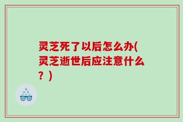 灵芝死了以后怎么办(灵芝逝世后应注意什么？)