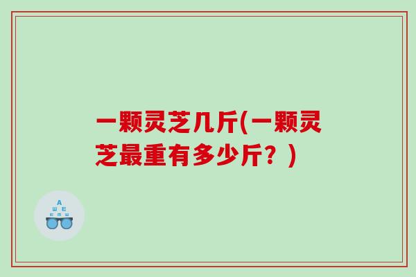 一颗灵芝几斤(一颗灵芝重有多少斤？)