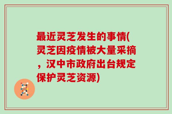 近灵芝发生的事情(灵芝因疫情被大量采摘，汉中市政府出台规定保护灵芝资源)