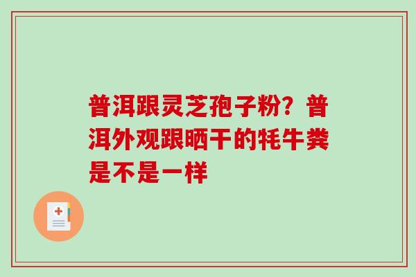 普洱跟灵芝孢子粉?普洱外观跟晒干的牦牛粪是不是一样 普洱跟灵芝孢子粉?普洱外观跟晒干的牦牛粪是不是一样