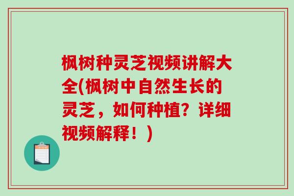 枫树种灵芝视频讲解大全(枫树中自然生长的灵芝,如何种植?详细视频解释!) 枫树种灵芝视频讲解大全(枫树中自然生长的灵芝,如何种植?详细视频解释!)