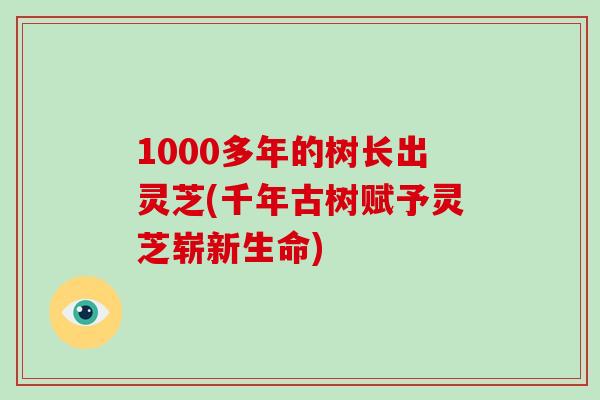 1000多年的树长出灵芝(千年古树赋予灵芝崭新生命) 1000多年的树长出灵芝(千年古树赋予灵芝崭新生命)