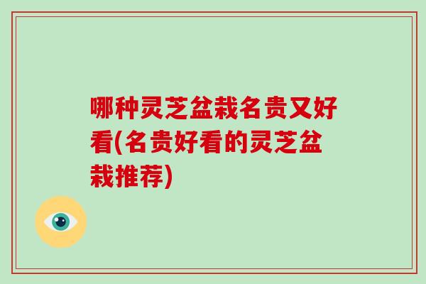 哪种灵芝盆栽名贵又好看(名贵好看的灵芝盆栽推荐)