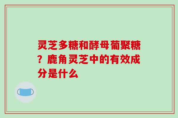 灵芝多糖和酵母葡聚糖？鹿角灵芝中的有效成分是什么