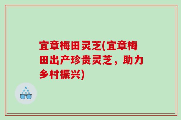 宜章梅田灵芝(宜章梅田出产珍贵灵芝，助力乡村振兴)