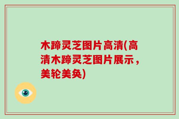 木蹄灵芝图片高清(高清木蹄灵芝图片展示,美轮美奂) 木蹄灵芝图片高清(高清木蹄灵芝图片展示,美轮美奂)