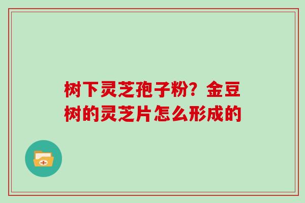 树下灵芝孢子粉？金豆树的灵芝片怎么形成的