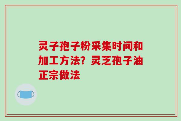 灵子孢子粉采集时间和加工方法？灵芝孢子油正宗做法