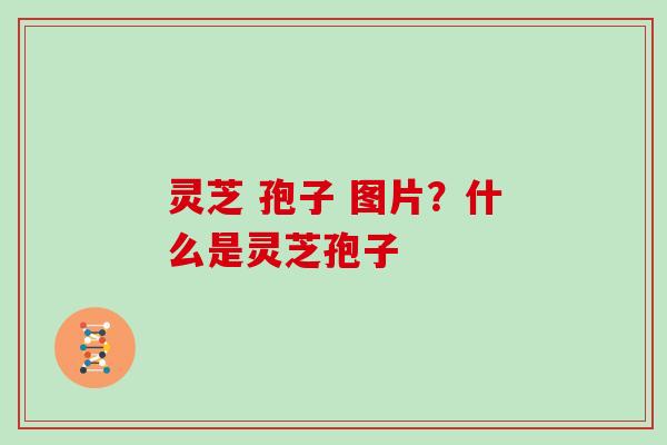 灵芝 孢子 图片?什么是灵芝孢子 灵芝 孢子 图片?什么是灵芝孢子