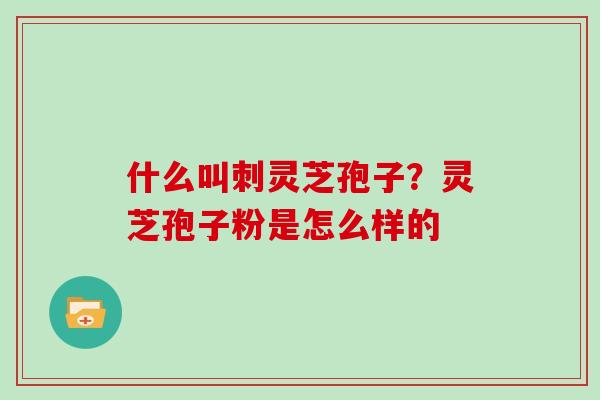 什么叫刺灵芝孢子？灵芝孢子粉是怎么样的