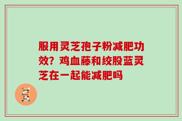 服用灵芝孢子粉功效？鸡藤和绞股蓝灵芝在一起能吗