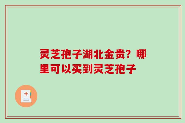 灵芝孢子湖北金贵？哪里可以买到灵芝孢子