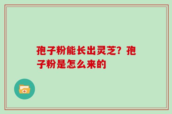 孢子粉能长出灵芝？孢子粉是怎么来的