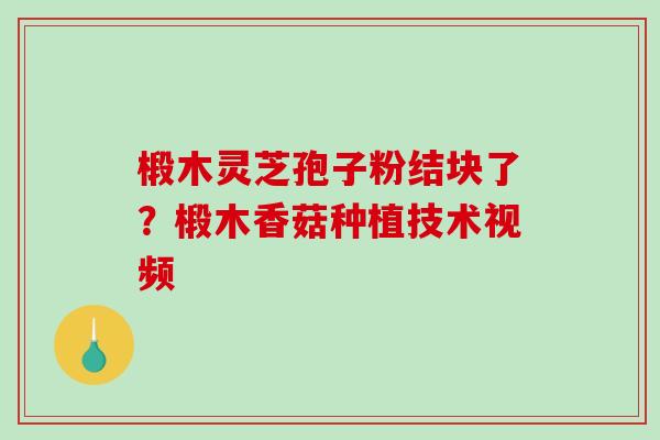 椴木灵芝孢子粉结块了?椴木香菇种植技术视频 椴木灵芝孢子粉结块了?椴木香菇种植技术视频