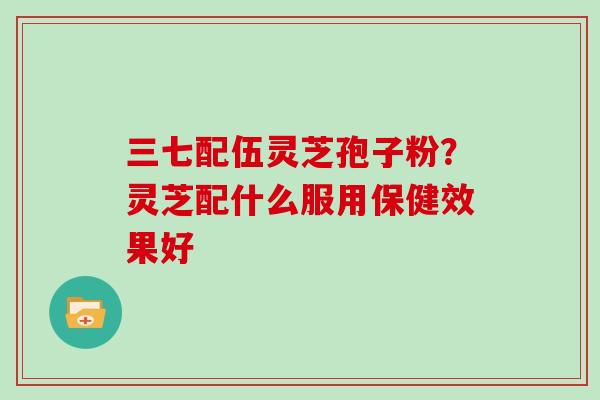 三七配伍灵芝孢子粉？灵芝配什么服用保健效果好