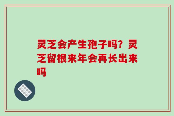 灵芝会产生孢子吗?灵芝留根来年会再长出来吗 灵芝会产生孢子吗?灵芝留根来年会再长出来吗