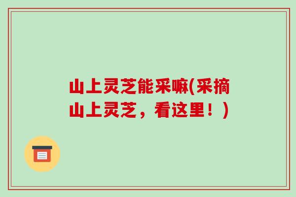 山上灵芝能采嘛(采摘山上灵芝，看这里！)