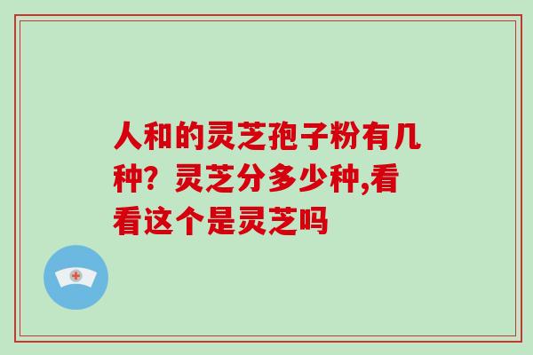 人和的灵芝孢子粉有几种？灵芝分多少种,看看这个是灵芝吗
