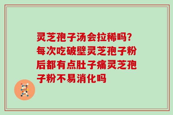 灵芝孢子汤会拉稀吗？每次吃破壁灵芝孢子粉后都有点肚子痛灵芝孢子粉不易消化吗