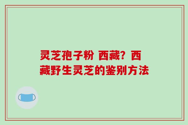 灵芝孢子粉 西藏?西藏野生灵芝的鉴别方法 灵芝孢子粉 西藏?西藏野生灵芝的鉴别方法